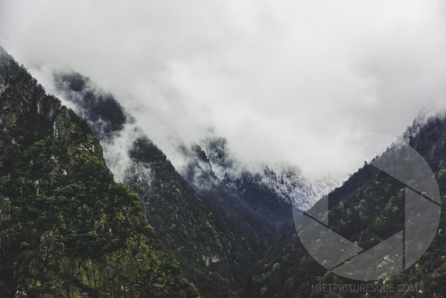Unsplash M9MzzPifPQM