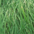 Unsplash TBQXwj3DEOY