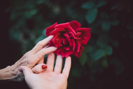 Unsplash I63YZy3S9Ns