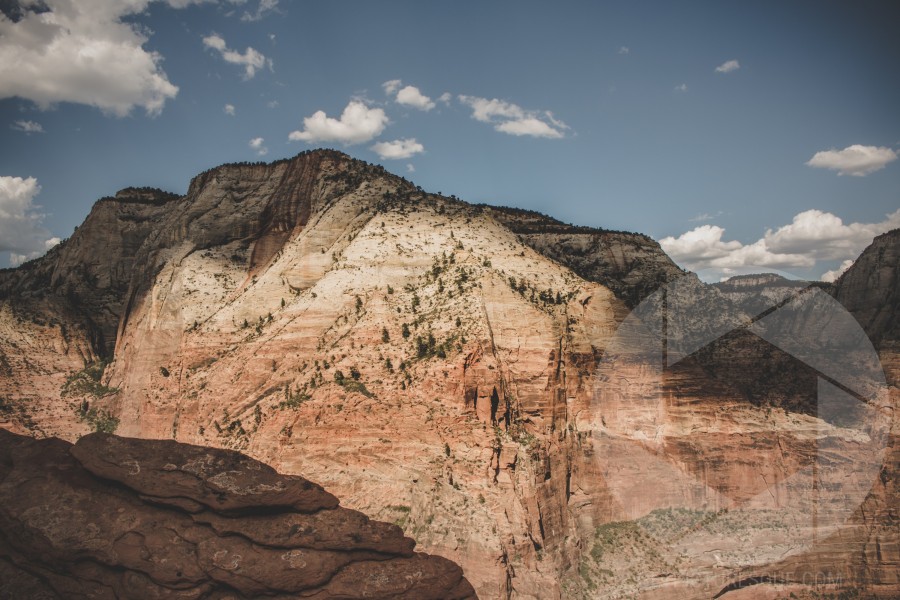 Unsplash m_r1PHBlKuM