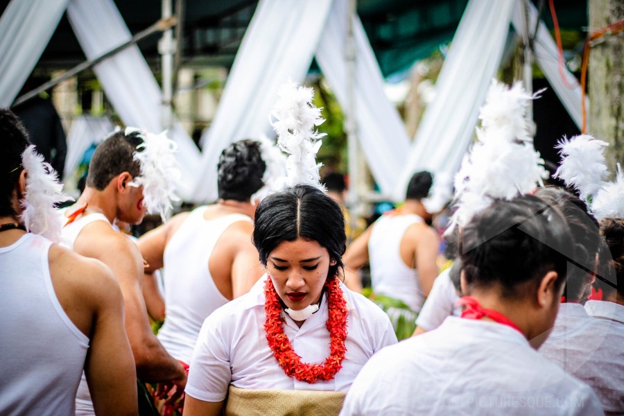 Unsplash SimENATPDVs