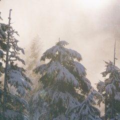 cold