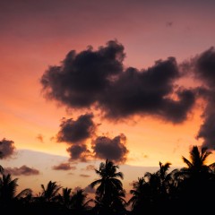 orange