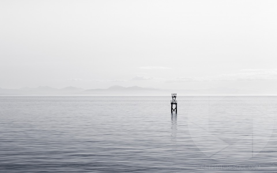 Unsplash O3rmGgNYLKo