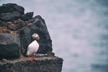 Unsplash OagAyc1Eh10