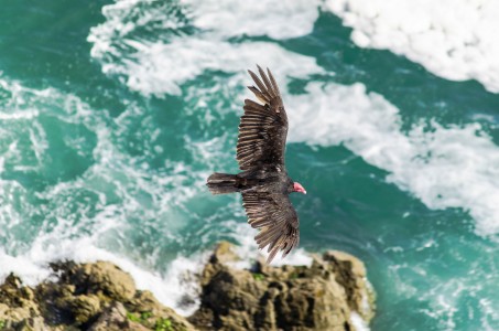 Unsplash a1uNp80zNfY