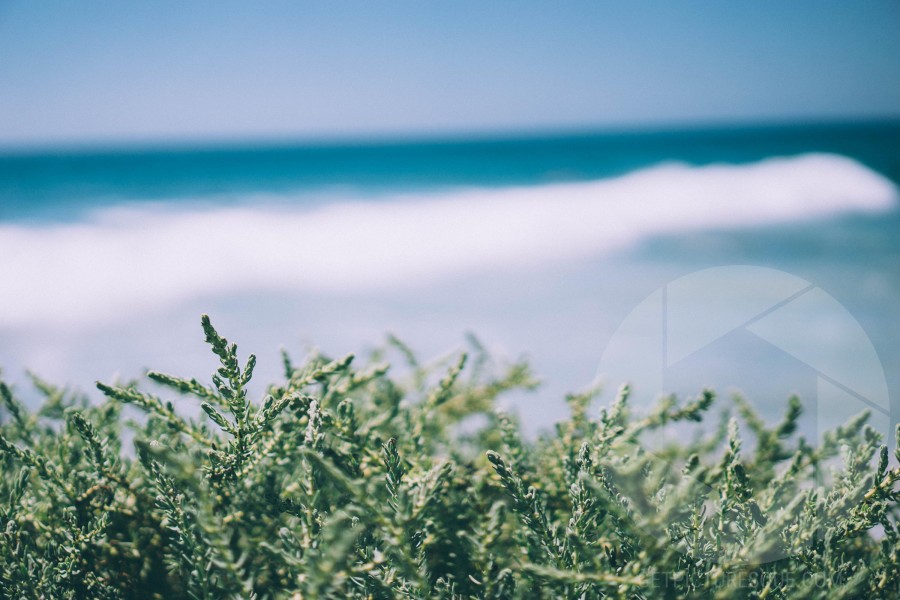Unsplash jA-BODhXaws