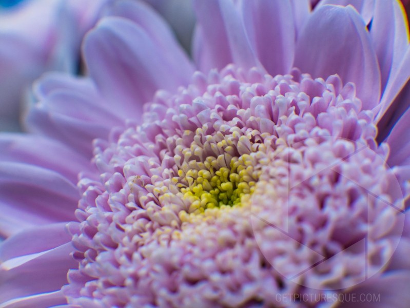 Unsplash lFKgyNGwBF4