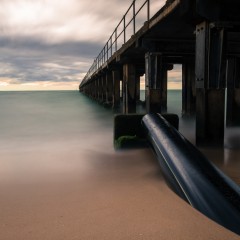 bluegreen