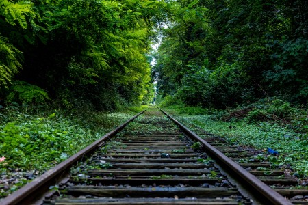Unsplash 0Kw44ElHN3A