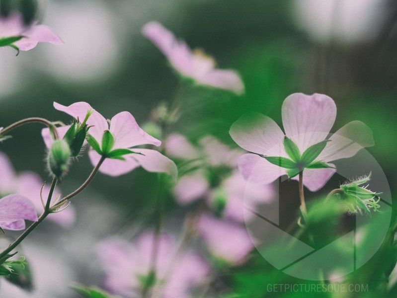 Unsplash ih1Ryy3_tAY