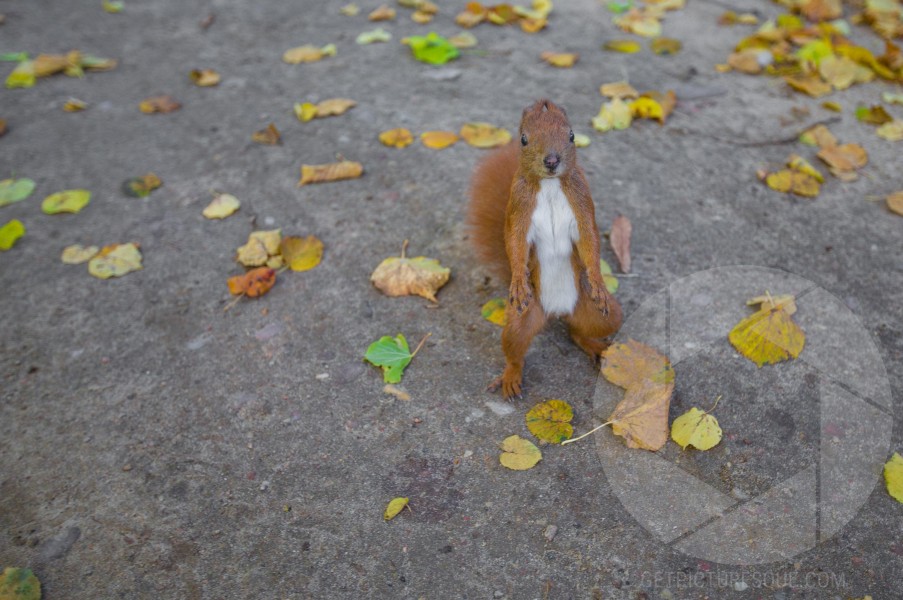 Unsplash 7d2tOLLL5gE