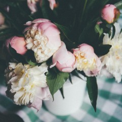 redviolet