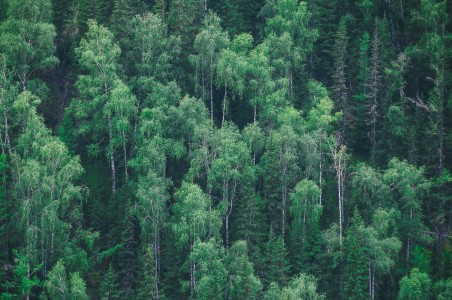Unsplash SroWCN6o-Lk
