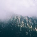 Unsplash USOu_Ob9rxo