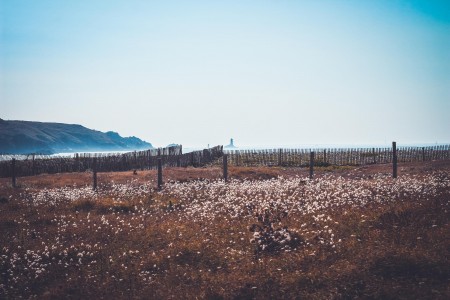 Unsplash ZJhCoo1ivBs