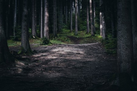 Unsplash OOgSrGCp4YI