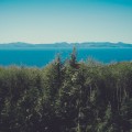 Unsplash 6J--NXulQCs