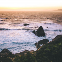 orange