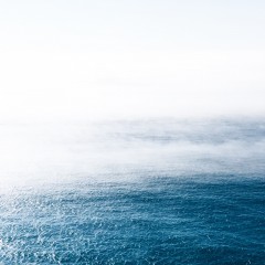 bluegreen