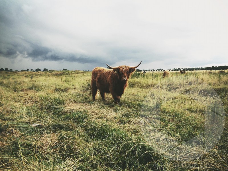 Unsplash oKlzAqzWyrc
