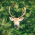 Unsplash 3FjIywswHSk