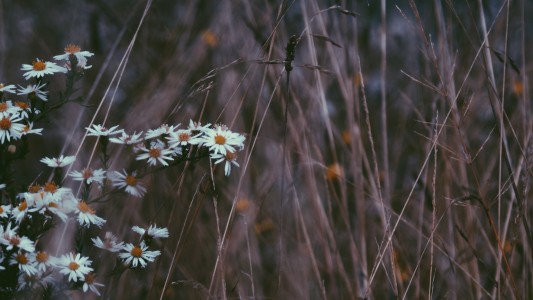 Unsplash 9dmTkAtIE8c