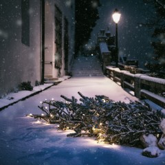 cold