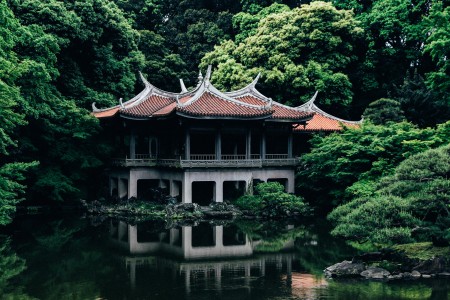 Unsplash OEgC5_q9MaE
