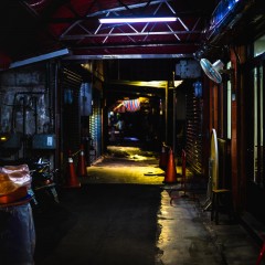 dark