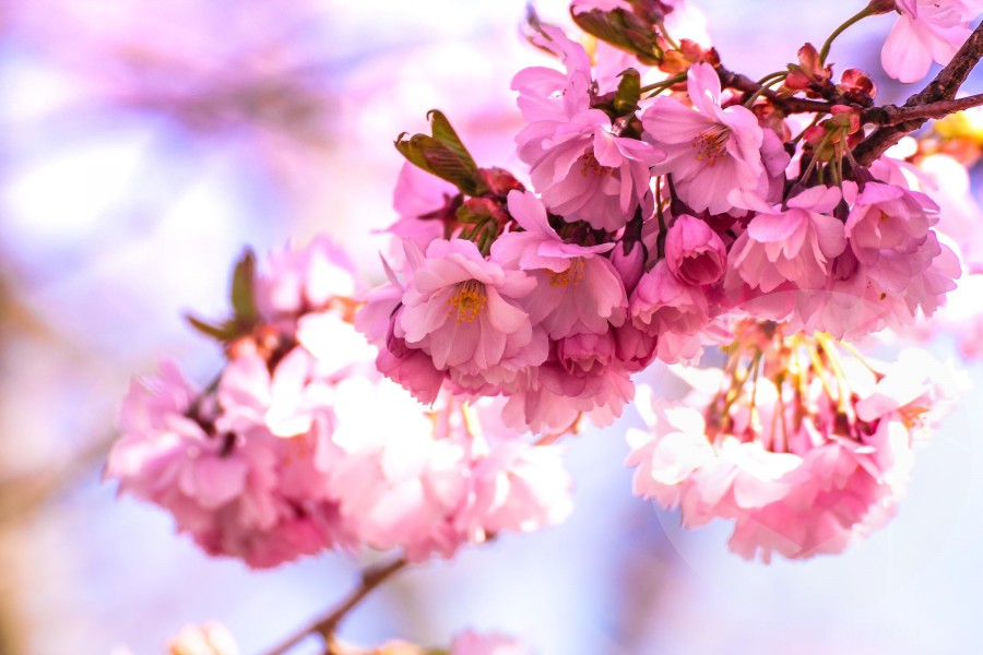 Unsplash Ru6hBXxVph8