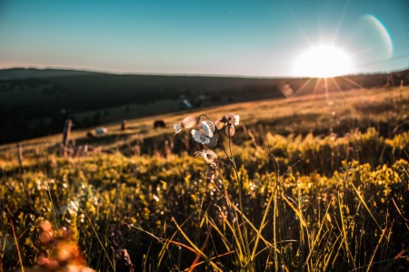Unsplash 4GYrCZ6Mrlo