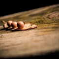 Unsplash M-1MRfncLk0