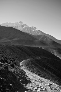 Unsplash TIr6EwYMRUM