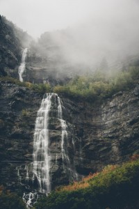 Unsplash tmRPrP33JTI