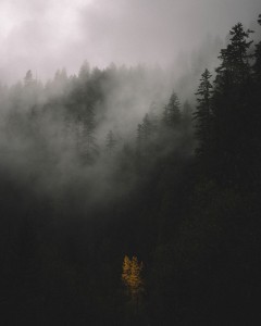 Unsplash fJb9CeTGjvQ