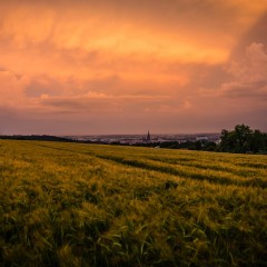 orange