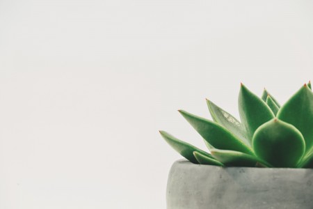 Unsplash hDyO6rr3kqk