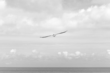 Unsplash ywiAen4L4qA