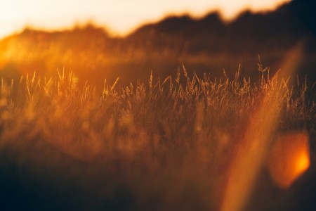 Unsplash -rSka4Bw-EU