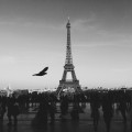 Unsplash wJ2SaSiL5FA