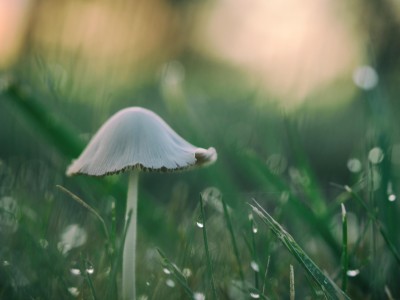 Unsplash AQPkj8F_Xok