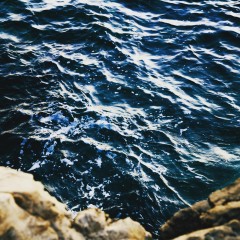 bluegreen