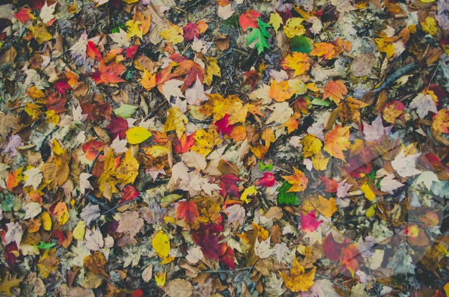 Unsplash PhWVUGV6z7M