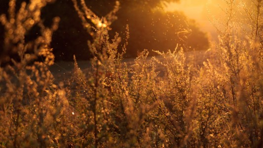 Unsplash Hez3-whPnNA