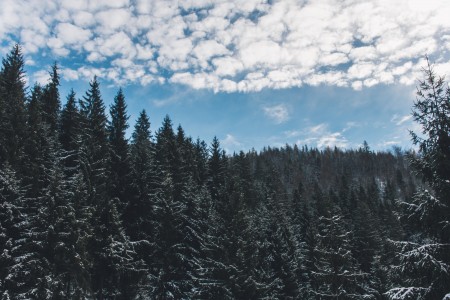 Unsplash LnsVmplWMoA