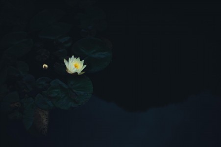 Unsplash JE5g2ZZG9qA