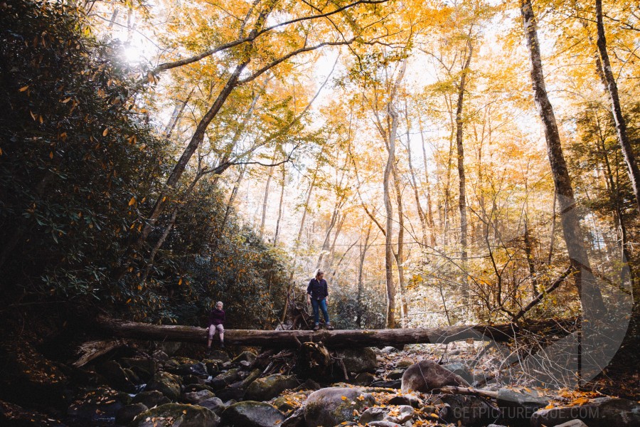 Unsplash FRTfJAaUHp4