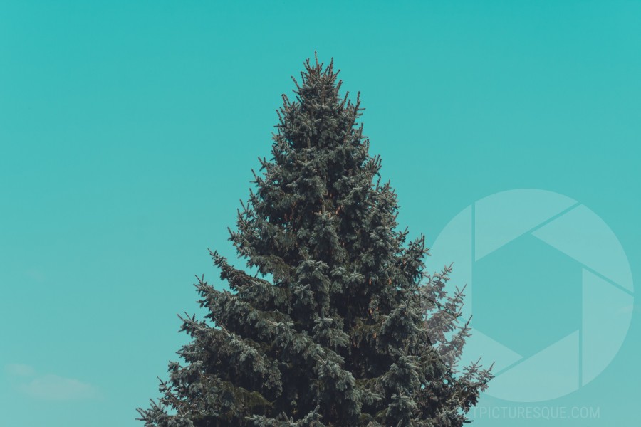 Unsplash PHWf-l5cVXQ