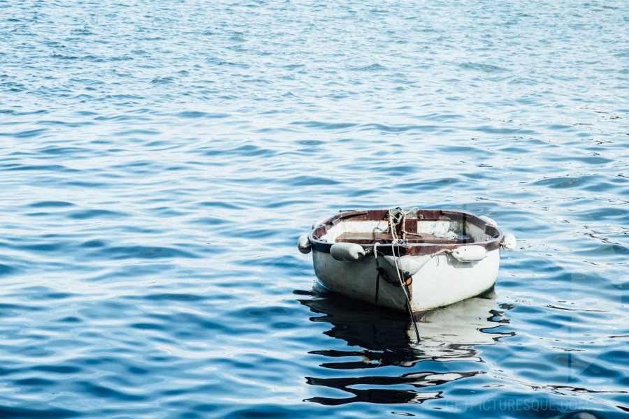 Unsplash HLGMLpxOSjk